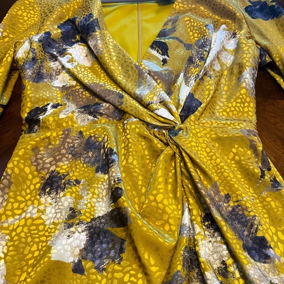 Taylor brand Dress - Picture 4 of 10